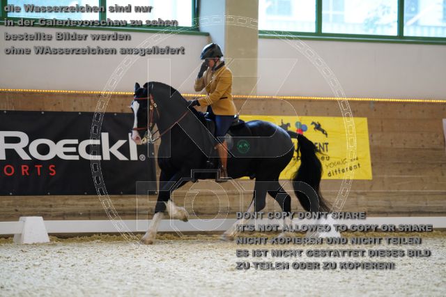 s_K3F09261.JPG